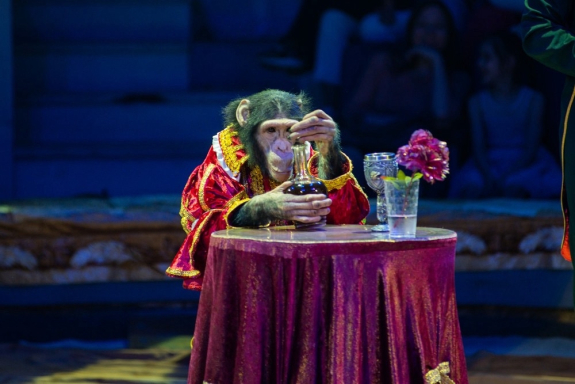 Цирк в гостях у сказки