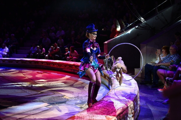 Цирк в гостях у сказки