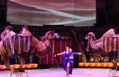 Всемирно известный цирк Филатовых