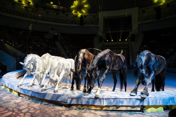 Цирк в гостях у сказки