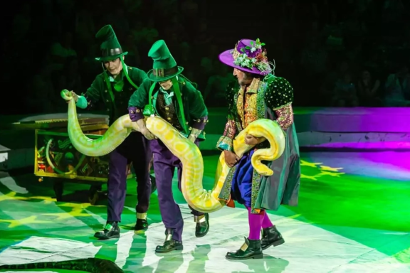 &Icy;&tcy;&acy;&lcy;&softcy;&yacy;&ncy;&scy;&kcy;&icy;&jcy; &tscy;&icy;&rcy;&kcy; &scy;&lcy;&ocy;&ncy;&ycy; &icy; &tcy;&icy;&gcy;&rcy;&ycy;