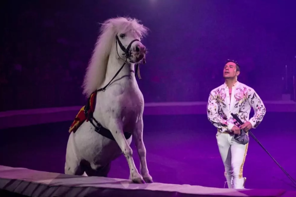 &Icy;&tcy;&acy;&lcy;&softcy;&yacy;&ncy;&scy;&kcy;&icy;&jcy; &tscy;&icy;&rcy;&kcy; &scy;&lcy;&ocy;&ncy;&ycy; &icy; &tcy;&icy;&gcy;&rcy;&ycy;